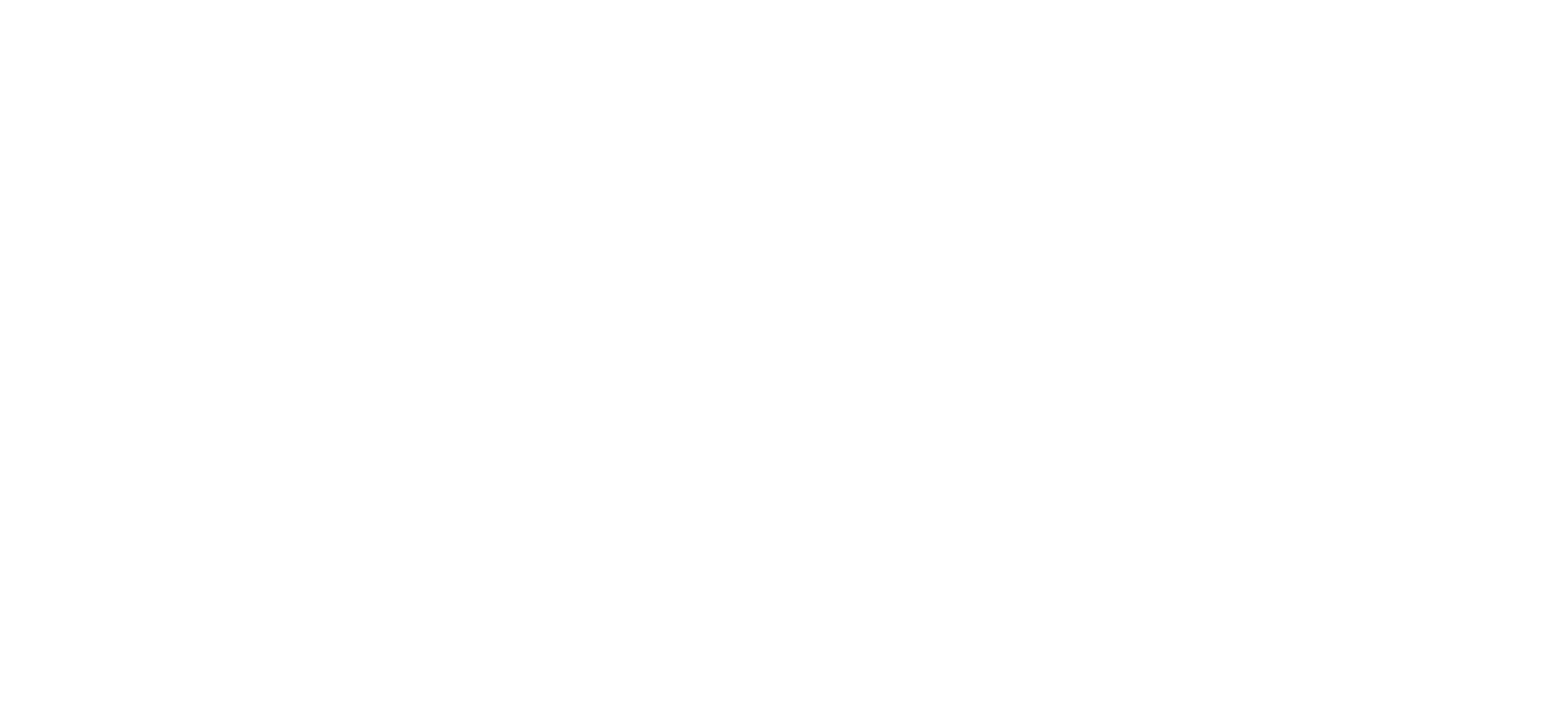 Inside Car Guys